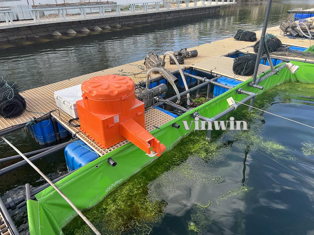 Thiết bị phun nước & cho ăn tự động làm sạch bùn