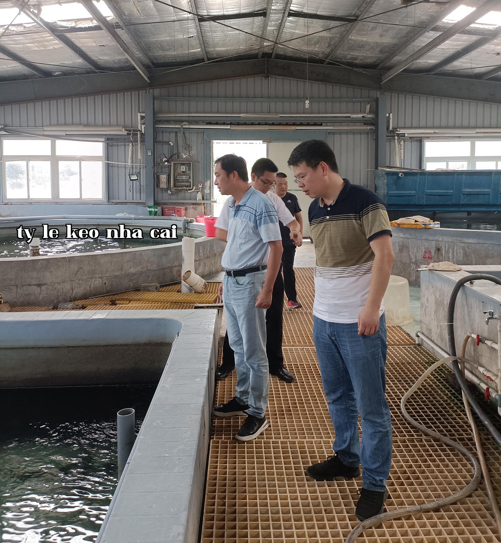Công ty Công nghệ Xiamen Sterful