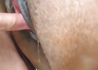 Hot sexo branquinha tetuda dando a buceta - Fine brown stallion fucked hard in doggie